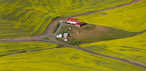 Palouse from the air essay