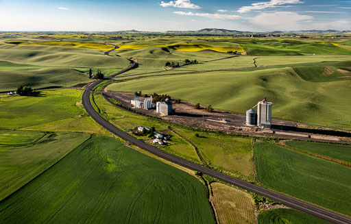 Palouse from the air essay